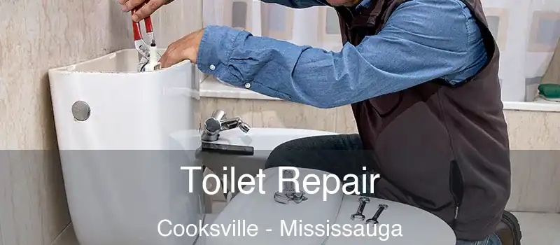  Toilet Repair Cooksville - Mississauga